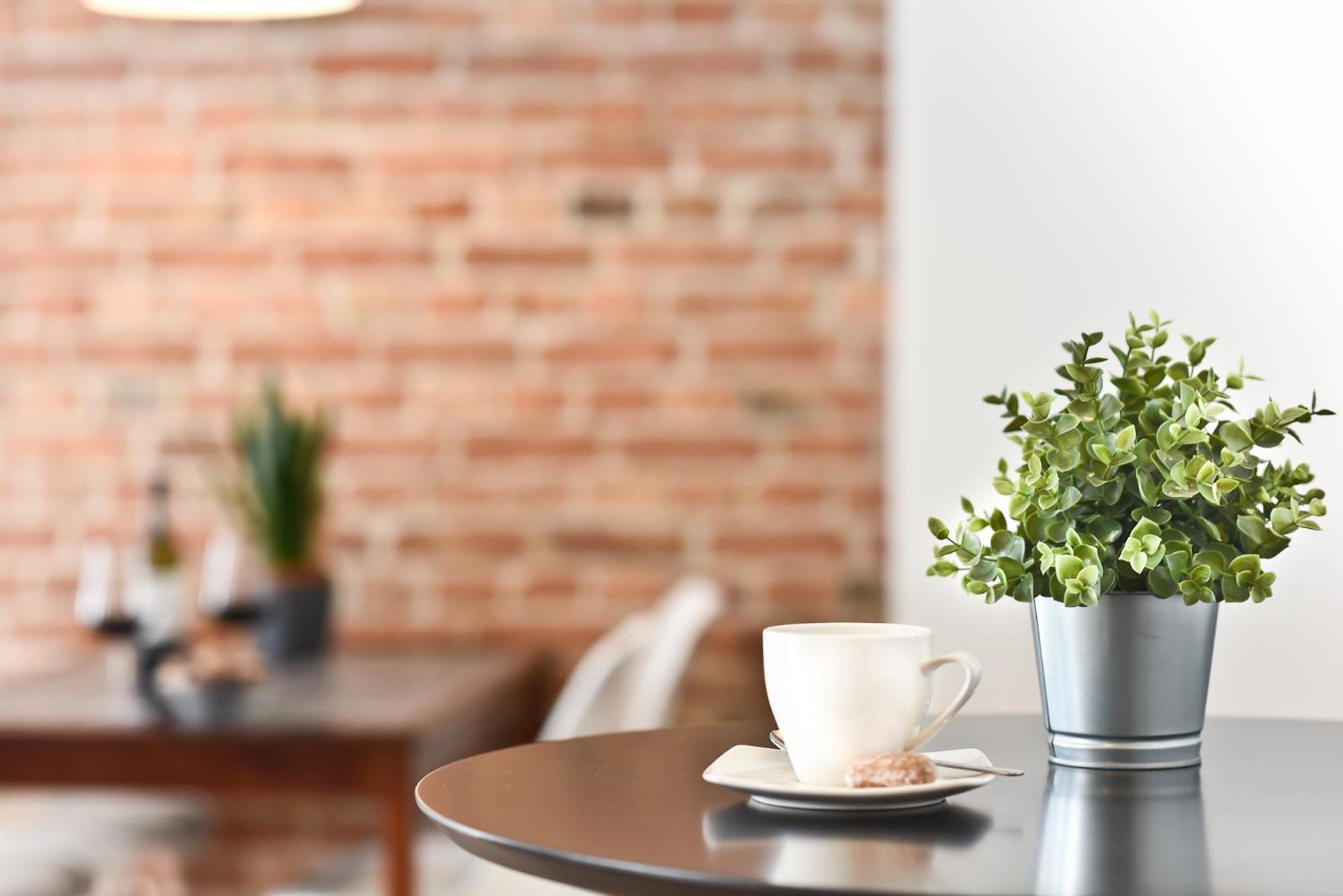 Green Garden Apartment Torun Bagian luar foto